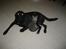 Labrador retriever Jensen R.I.P