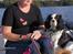 Cavalier king charles spaniel Allways Almighty Xelma RIP Himmelhund. - jeg er også skibshund