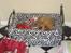 Cavalier king charles spaniel aZalia's Coco
