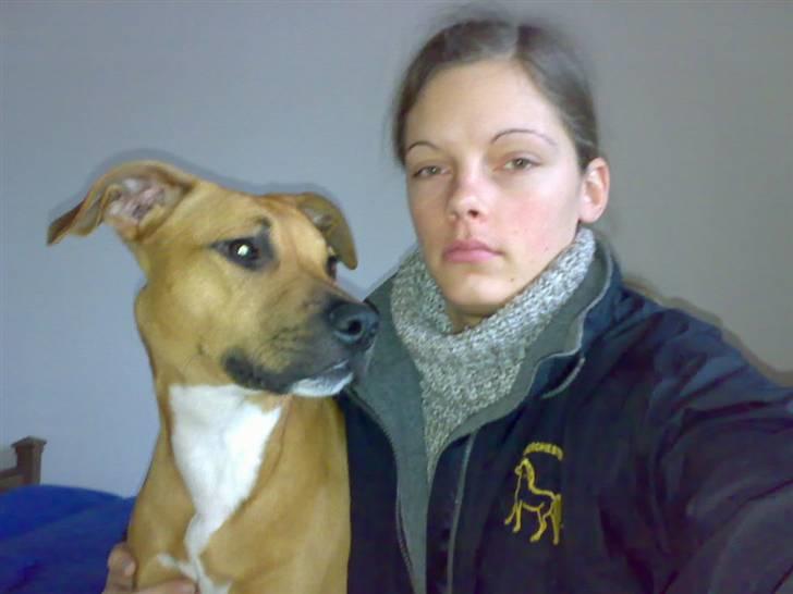 Amerikansk staffordshire terrier Kenzo *R.I.P* - Mig og Kenzo - Der var han knap 8mdr. gammel billede 6