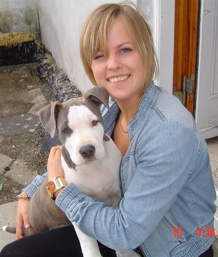 Amerikansk staffordshire terrier Bea - Bea med "moster" Charlotte billede 2