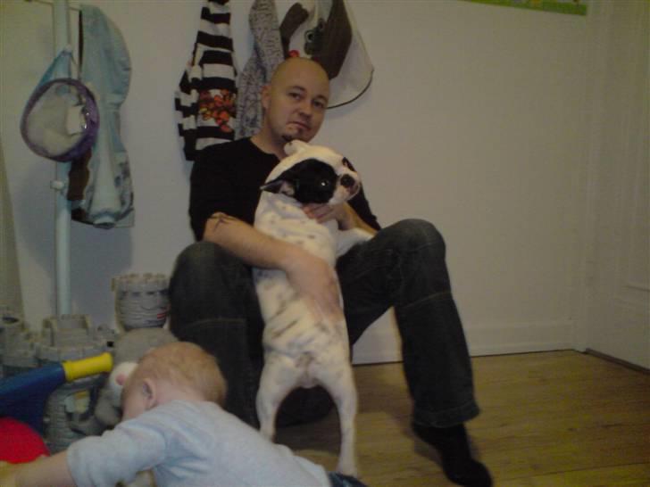 Fransk bulldog Bufas - mig og min far billede 10