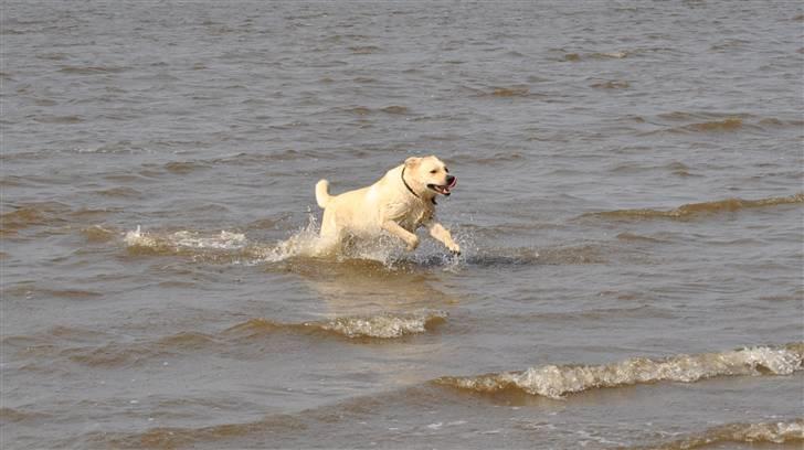 Blanding af racer Basse - Loosing you is gonna take a lifetime for me.. billede 15