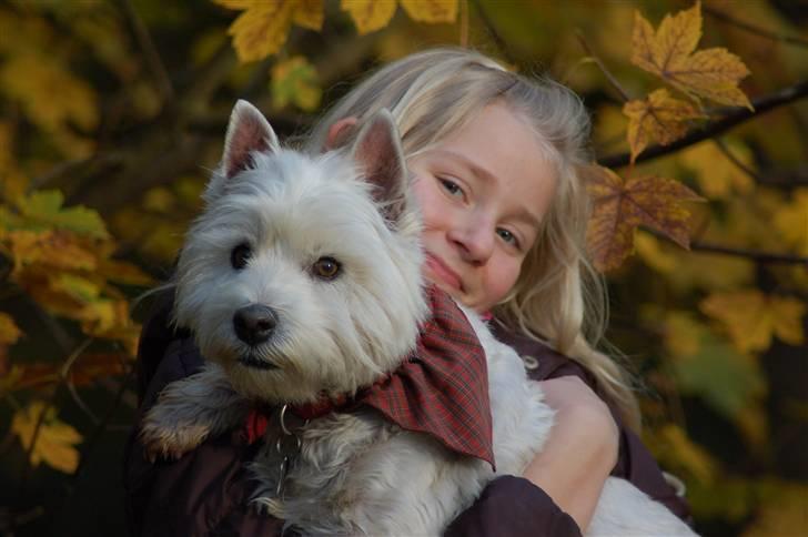 West highland white terrier Sjoske † Døde 7/9 2009†   - Her er hun så<3 med min lillesøster:) billede 1