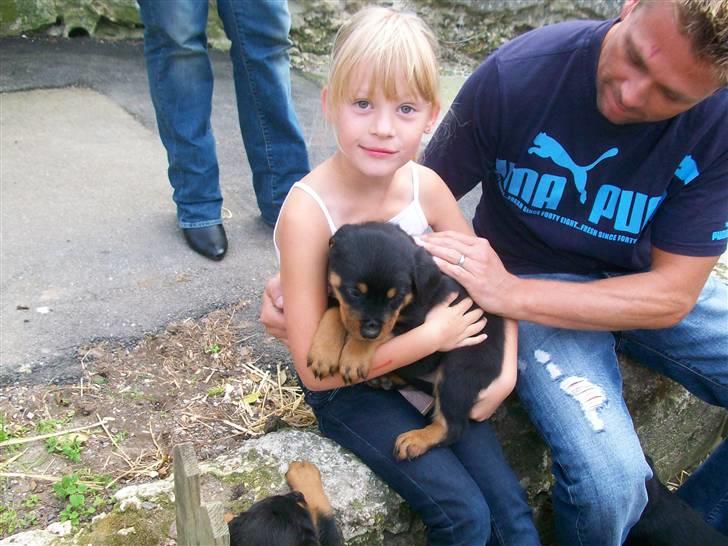 Rottweiler Tyson - det så et billede af tyson og min far og min søster billede 5