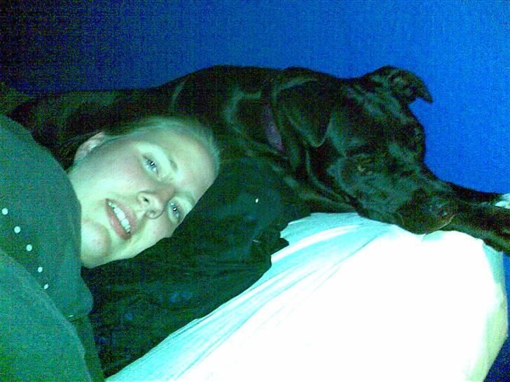 Blanding af racer Snif RIP - Putter ved mor i sengen billede 6