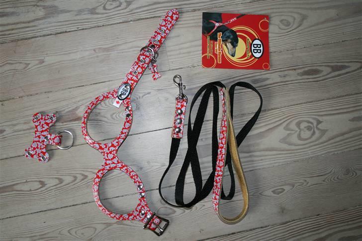Chihuahua Chilli - dette sæt satte jeg til salg på marked 14 august, sendte det til en der ville købe det, men jeg har ikke set en rød reje. Så hvis der er nogen der ser dette på en lille hund i hvidovre så........ billede 17