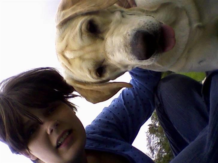 Labrador retriever tjalfe - tjalfe og mig billede 3
