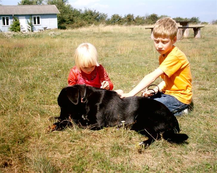 Blanding af racer Zisca - Hygge på "marken" billede 21