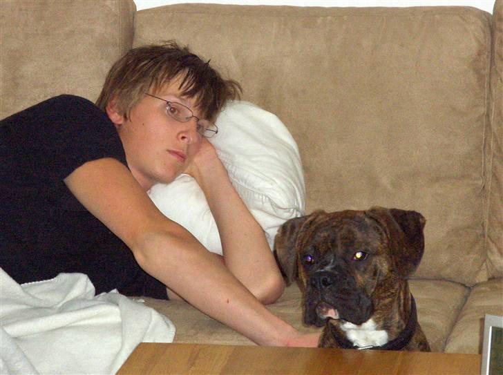 Blanding af racer Tiger billede 4