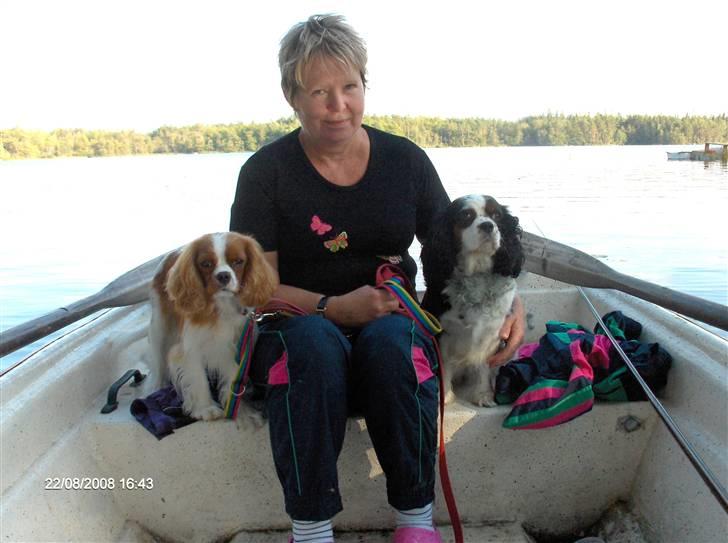 Cavalier king charles spaniel Aslan R.I.P. (Himmelhund) - her sejler jeg med mine 2 mødre billede 9