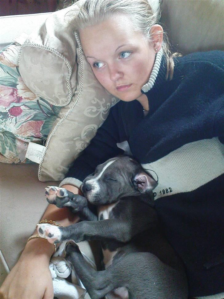 Blanding af racer Paplo - Mig og paplo hygger :D billede 5