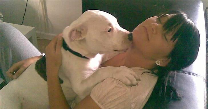 Blanding af racer Emma billede 13