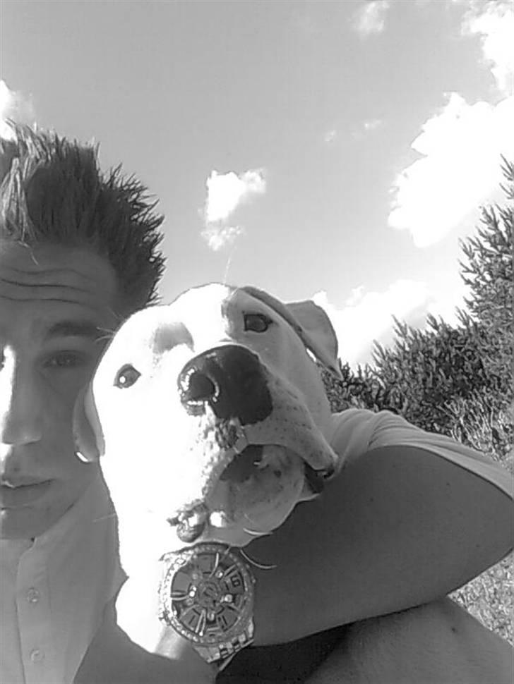 Blanding af racer Emma - Søn og hund, efter en lille løbetur billede 14