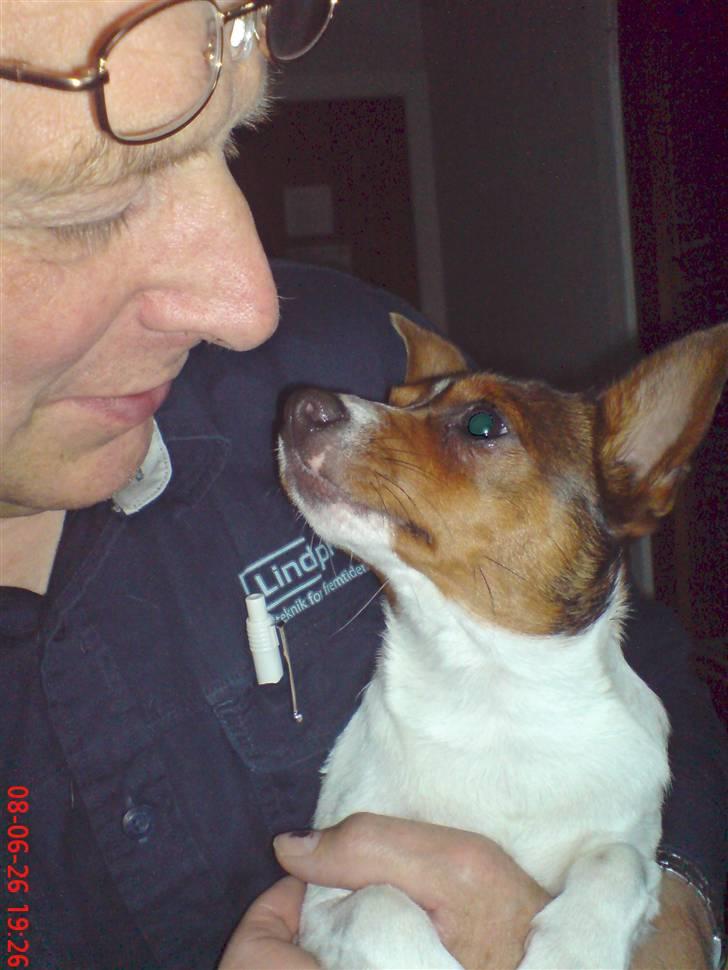 Blanding af racer Tøffe - "elsk mig" billede 8