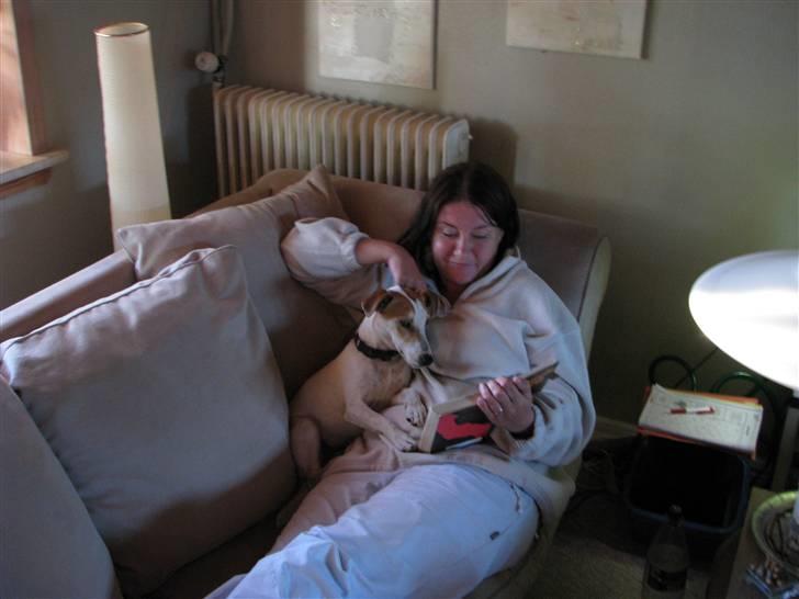 Jack russell terrier Mojo R.I.P. - Selvfølgelig kan han læse!! billede 6