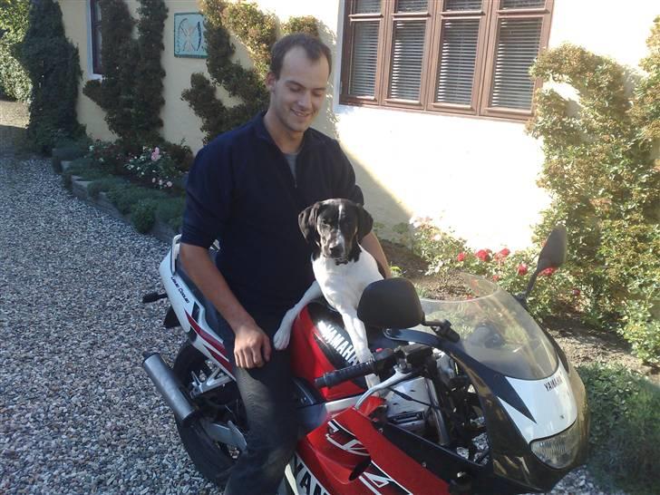 Blanding af racer Rocky - Weee.... :) billede 8