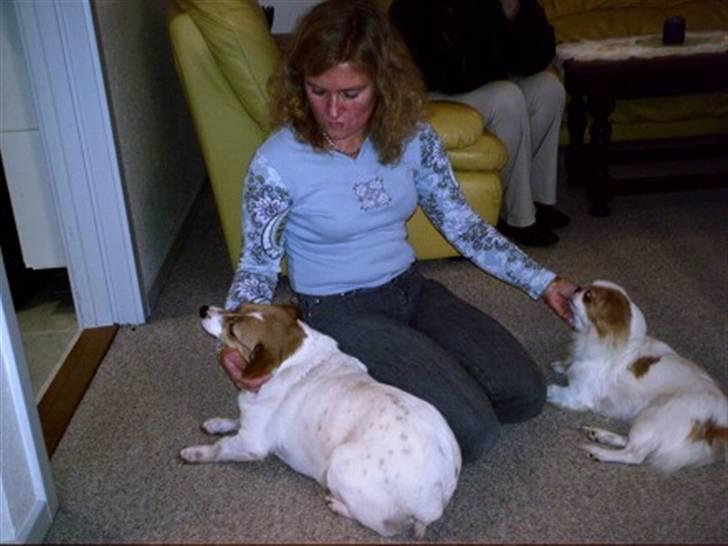 Blanding af racer Mala "Himmelhund"  R.I.P. billede 6
