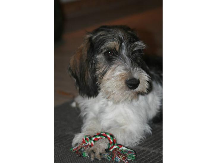 {{currentPhoto.altText}} billede {{currentPhoto.number}}