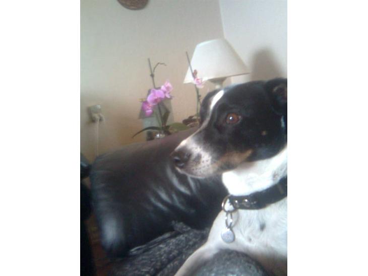 {{currentPhoto.altText}} billede {{currentPhoto.number}}