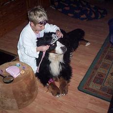 Berner sennenhund Tertzo´s Chicci 2006 -