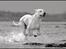 Dogo argentino cano - taget af rostell foto