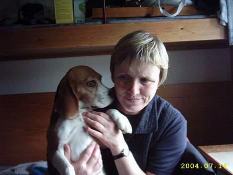 Beagle Gunhild - Gunhild og "mor" (min mor :-)) billede 13