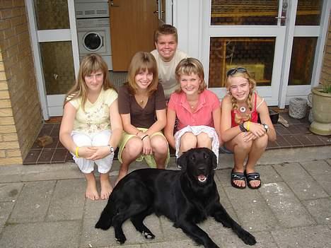 Flat coated retriever Gonzo - to ejer til begge sider og tre venner og mig selv billede 7