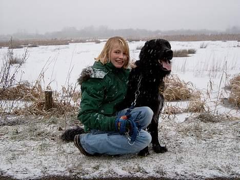 Blanding af racer Smutter - det er så min dejlige ejer vi er lige ude at gå en frisk tur i det kolde vejr hehe :D billede 4