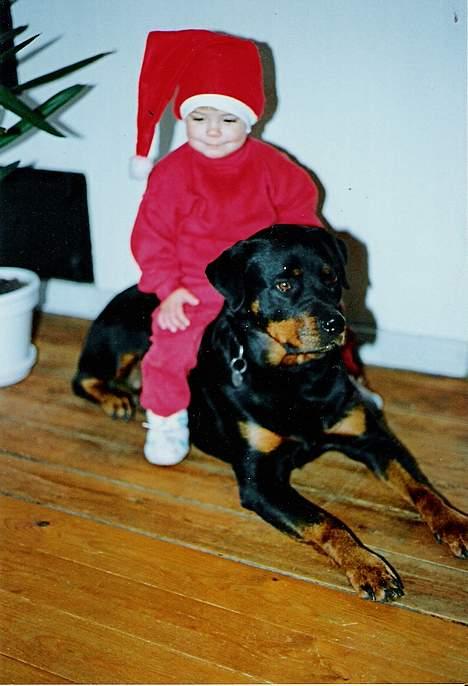 Rottweiler Ducas Sika - sika og mig til jul... hun er lige blevet min hest.. billede 12