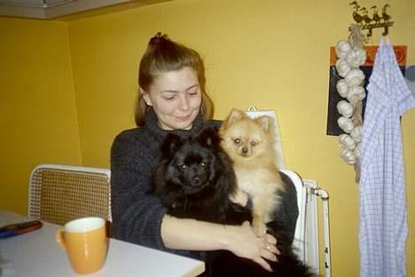 Pomeranian Fie *4-7-2004* - Felix du fylder for meget. billede 12