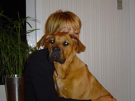 Blanding af racer Malou billede 6