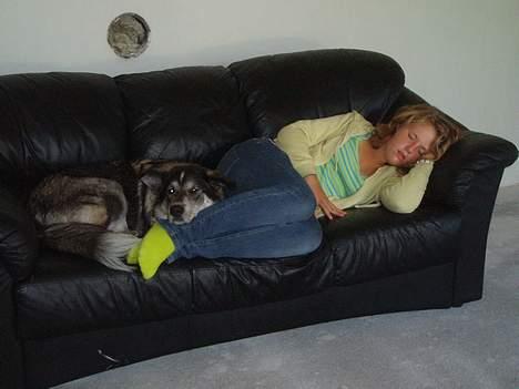 Blanding af racer (alaskan malamute)Chianti - det er bare såå skønt at putte med moster Helene billede 7