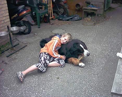 Berner sennenhund Snoopy (død) - Snoopy og Frederik, med en af de fødselsdagsgaver som Frederik har givet ham billede 12