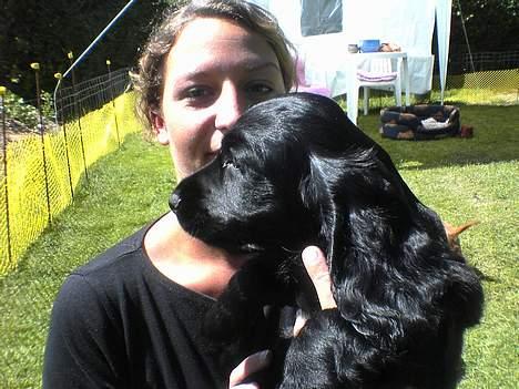 Cocker spaniel *Olsen - Mig og mor.. billede 2
