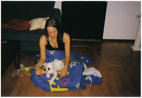 Blanding af racer Cosy R.I.P - mors lille dreng billede 16