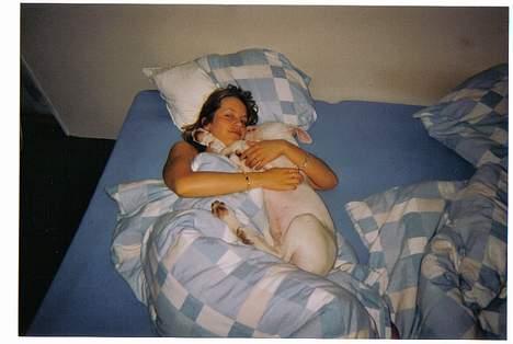 Blanding af racer Cosy R.I.P - selvfølgelig sover han hos sin mor billede 17