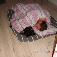 Blanding af racer Ozzy