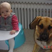 Blanding af racer Carlos