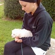 Blanding af racer magnus (: