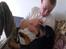 Rottweiler Freja  .. R.I.P<3<3<3<3 - Hygge sammen med min far . og hey giv mig lige min godbid . 