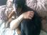 Rottweiler Freja  .. R.I.P<3<3<3<3 - Hygger med far