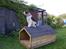 Blanding af racer Chewie  - Snoopy...