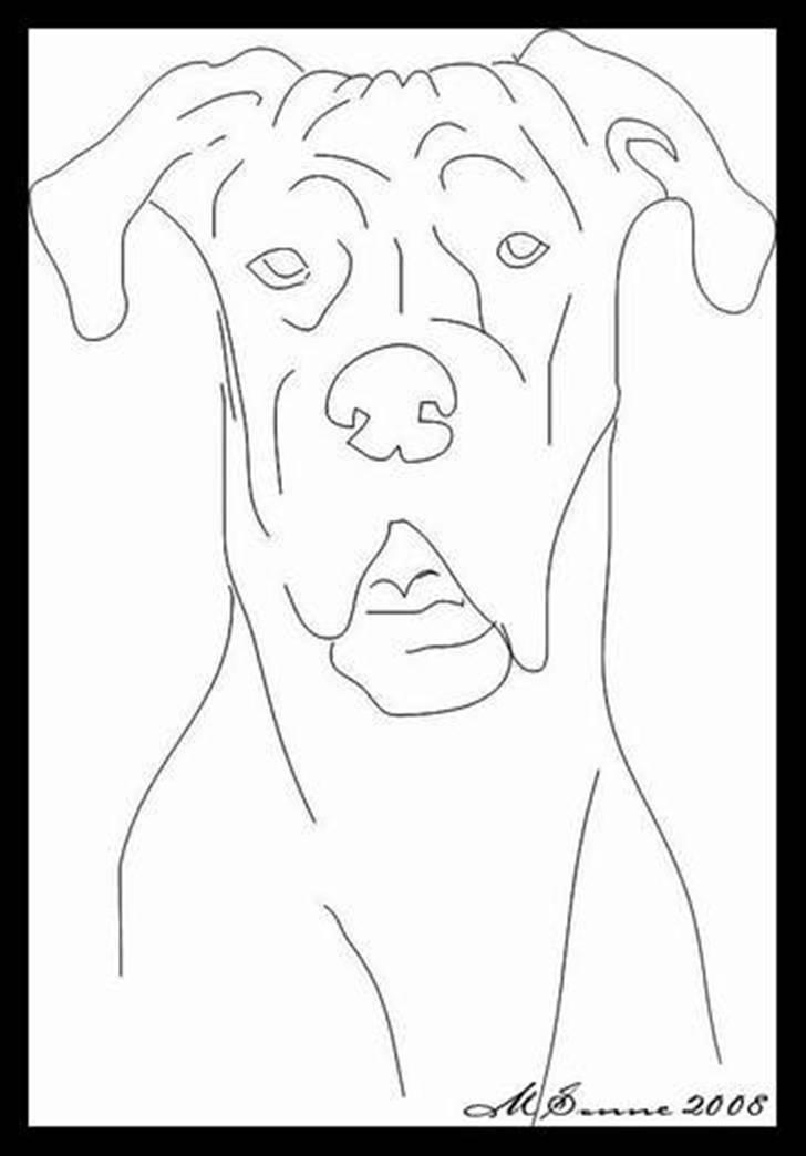 Grand danois Guffi - Tusind tak for billedet Marianne! billede 18