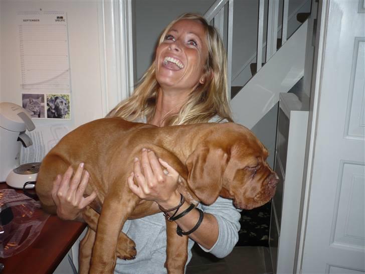 Dogue de bordeaux EstruphusDiorCristalRouge - Så slap min mor er.. Hvad skaber hun sig for, jeg vejer jo næsten ingeting.. billede 8