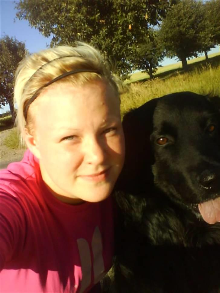 Hovawart Gizmo (HofJoy) R.I.P. - Vi sommerhygger (: billede 15