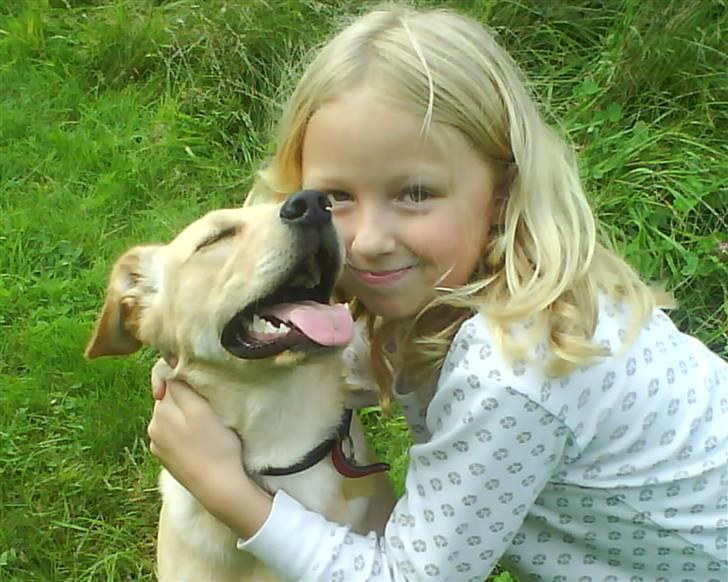 Blanding af racer Emsi - Vi elsker hinanen billede 3