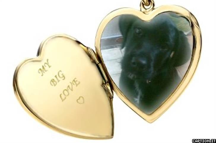 Blanding af racer Leopold - Our Love<3 billede 7