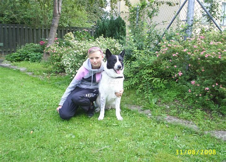 Blanding af racer basse:-* - det var så min profil;b gi en kommentar og læg en bedømmelse!!:-* billede 20