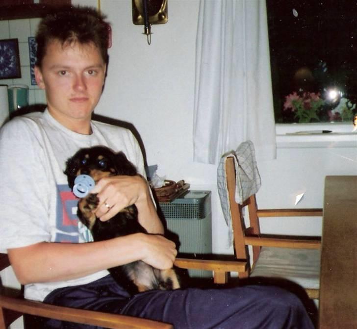 Gravhund Trold - Han er kun 10 uger gammel også bruger man jo stadig sut :) billede 3